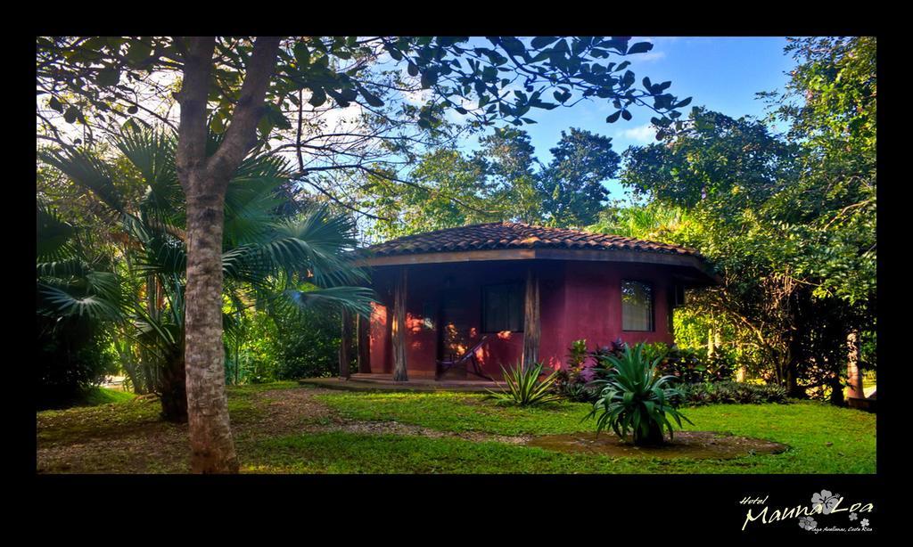 Hotel Mauna Loa Pinilla Rum bild