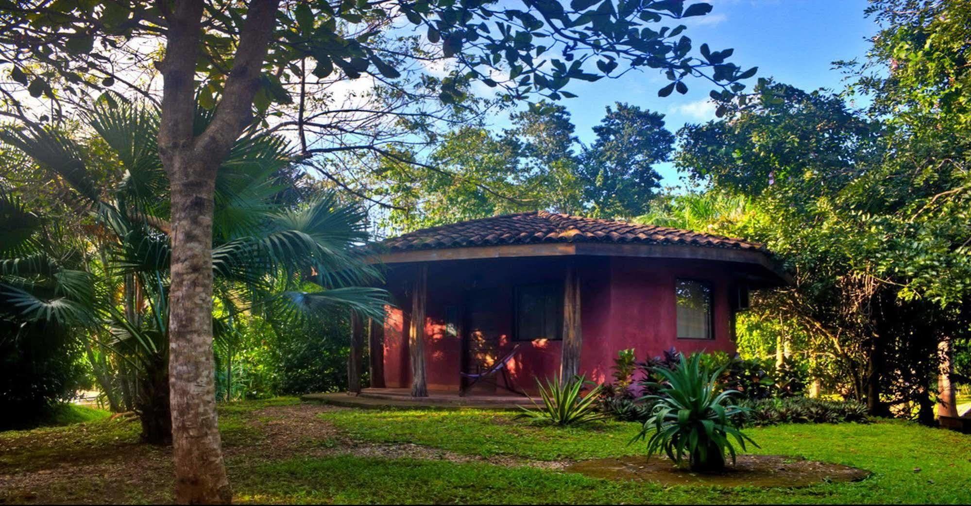 Hotel Mauna Loa Pinilla Exteriör bild